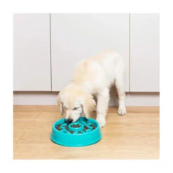 ZippyPaws Happy Bowl Slow Feeder - Donut -Vetn Pet Direct Store happy bowl donut 3