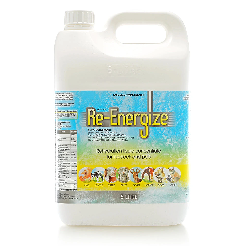 Hardock's Re-Energize Rehydration Liquid 2 Hardock's Re-Energize Rehydration Liquid - Image 2