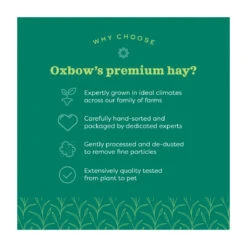 Oxbow Hay Blends - Western Timothy & Orchard Grass 10 Oxbow Hay Blends - Western Timothy & Orchard Grass -Vetn Pet Direct Store hay blends 2