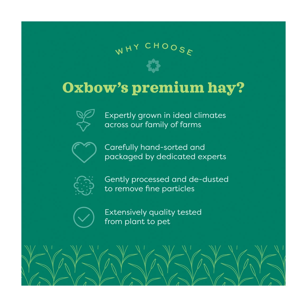 Oxbow Hay Blends - Western Timothy & Orchard Grass 5 Oxbow Hay Blends - Western Timothy & Orchard Grass - Image 5