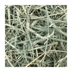 Oxbow Hay Blends - Western Timothy & Orchard Grass 9 Oxbow Hay Blends - Western Timothy & Orchard Grass -Vetn Pet Direct Store hay blends sample