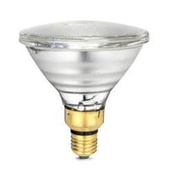 Bainbridge Infrared Heat Lamp Bulb - Clear -Vetn Pet Direct Store heat lamp bulb clear 2