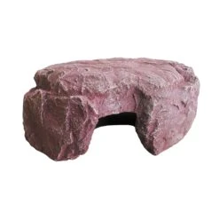 Reptile Hiding Rock