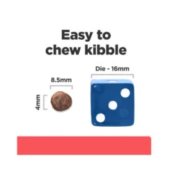 Hill's Prescription Diet ONC Care With Chicken Dry Cat Food 3.17kg -Vetn Pet Direct Store hills onc cat dry 1