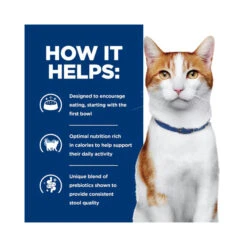Hill's Prescription Diet ONC Care Chicken & Vegetable Stew Wet Cat Food 82g X 24 -Vetn Pet Direct Store hills onc cat dry 3 1869f41b cf5e 4197 8296 3478f2aa798e