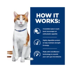 Hill's Prescription Diet ONC Care With Chicken Dry Cat Food 3.17kg -Vetn Pet Direct Store hills onc cat dry 4