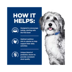 Hill's Prescription Diet ONC Care Chicken & Vegetable Stew Wet Dog Food 354g X 12 9 Hill's Prescription Diet ONC Care Chicken & Vegetable Stew Wet Dog Food 354g X 12 -Vetn Pet Direct Store hills onc dog dry 3 3b0ffa04 ade2 4b25 8c32 981e99fbbe12