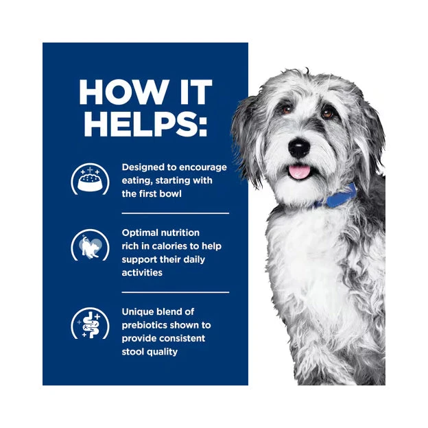 Hill's Prescription Diet ONC Care Chicken & Vegetable Stew Wet Dog Food 354g X 12 4 Hill's Prescription Diet ONC Care Chicken & Vegetable Stew Wet Dog Food 354g X 12 - Image 4