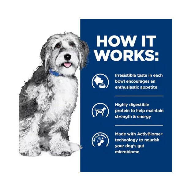 Hill's Prescription Diet ONC Care Chicken & Vegetable Stew Wet Dog Food 354g X 12 3 Hill's Prescription Diet ONC Care Chicken & Vegetable Stew Wet Dog Food 354g X 12 - Image 3