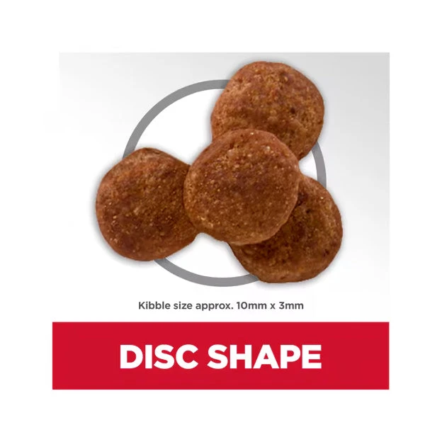 Hill's Science Diet Adult Perfect Weight Chicken Recipe Dry Dog Food 3 Hill's Science Diet Adult Perfect Weight Chicken Recipe Dry Dog Food - Image 3