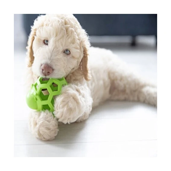 JW Hol-ee Cow 3 JW Hol-ee Cow - Image 3