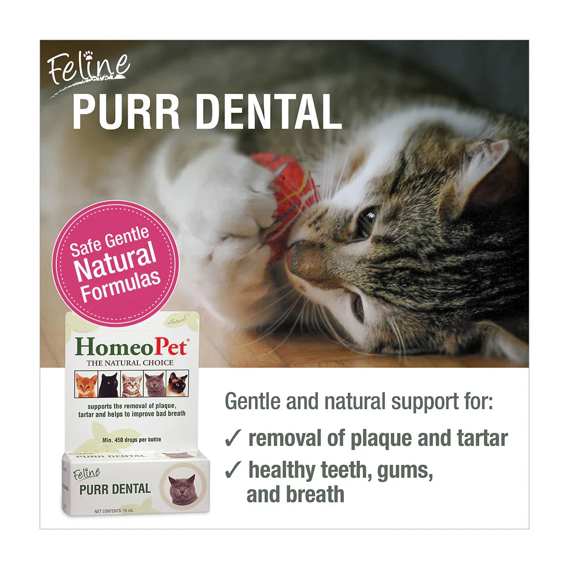 HomeoPet Feline Purr Dental 15mL 3 HomeoPet Feline Purr Dental 15mL - Image 3