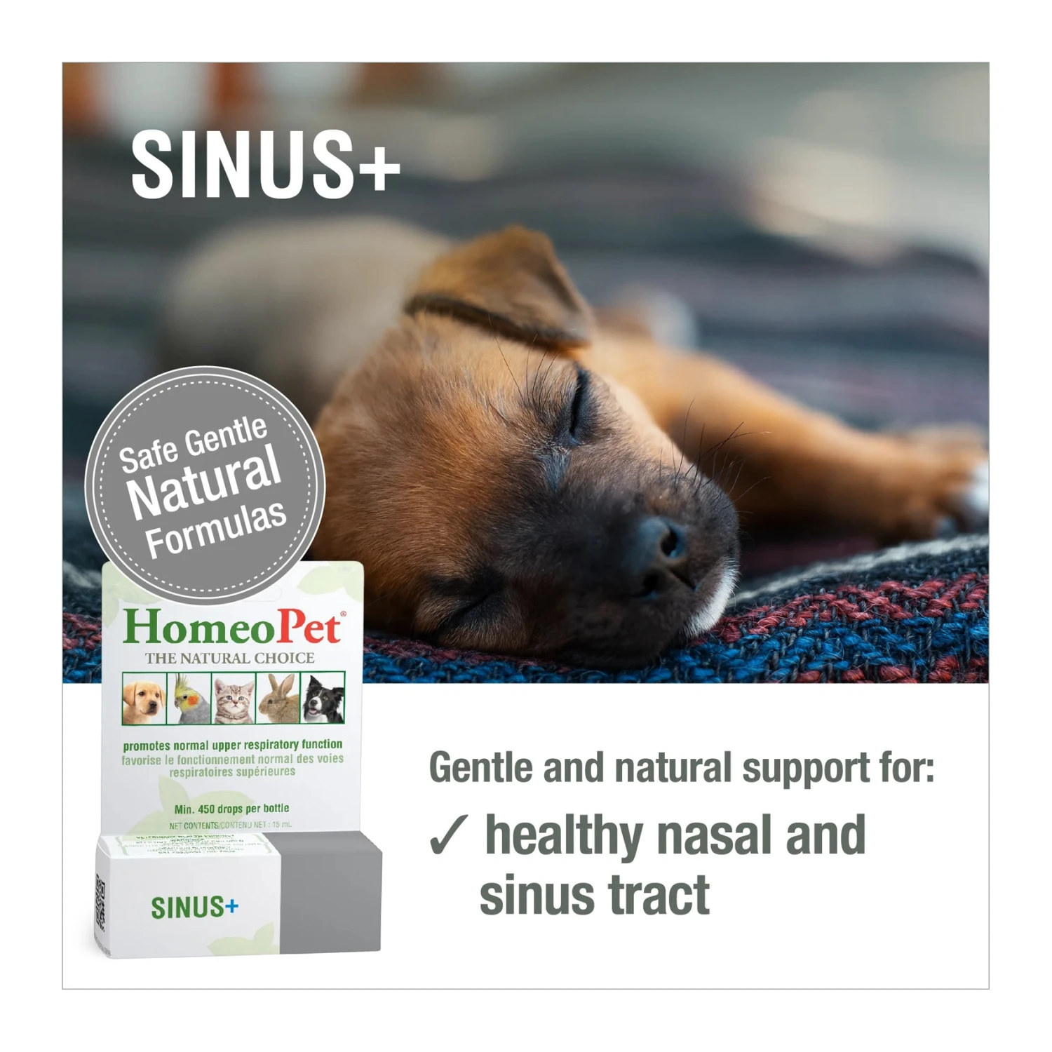 HomeoPet Sinus+ 5 HomeoPet Sinus+ - Image 5