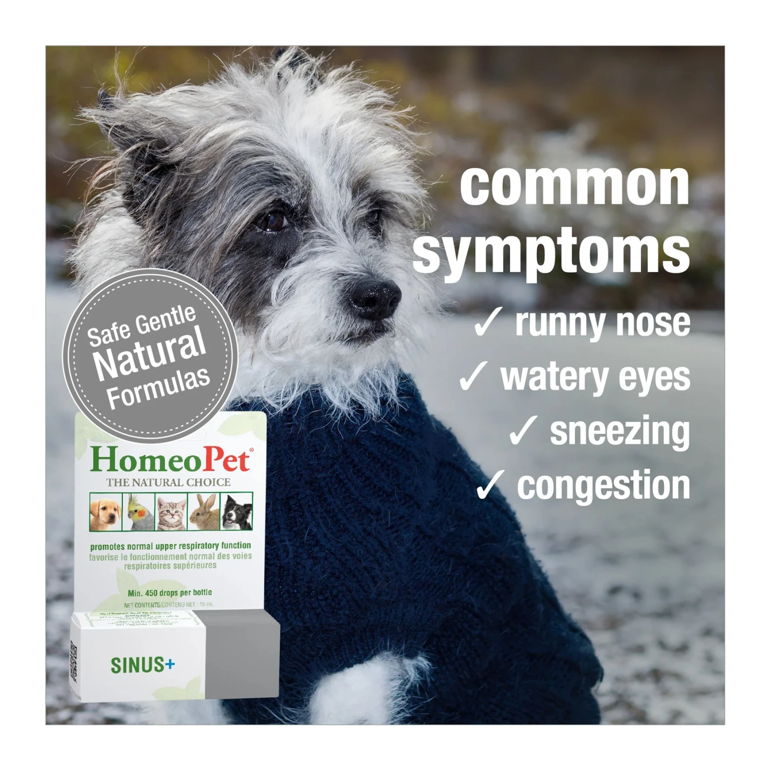 HomeoPet Sinus+ 4 HomeoPet Sinus+ - Image 4