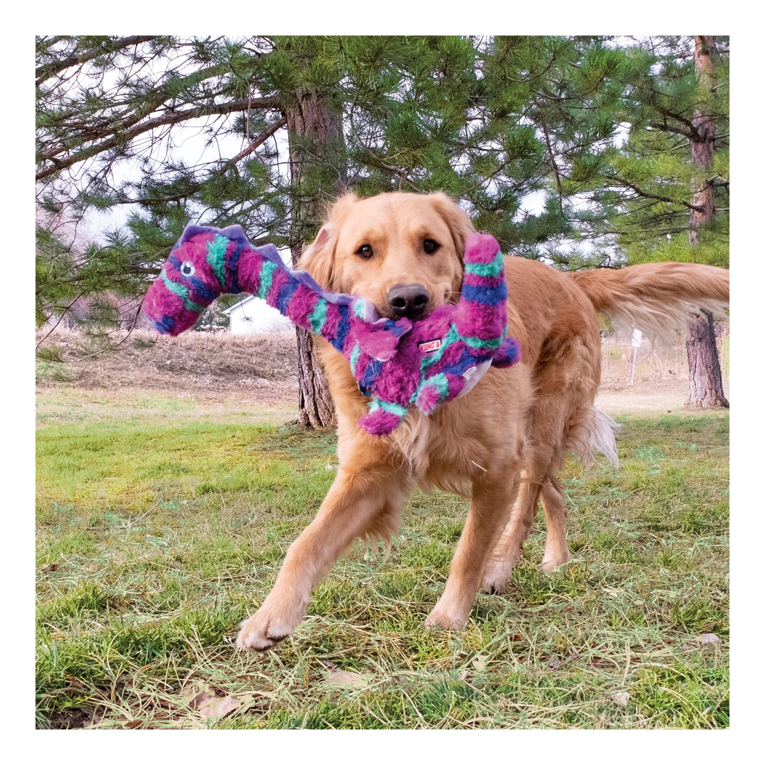 KONG Shakers Honkers Dragon 2 KONG Shakers Honkers Dragon - Image 2