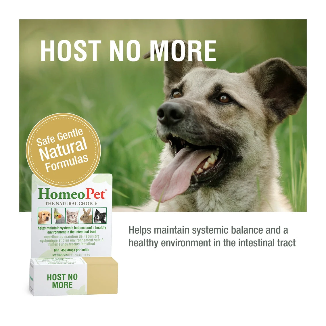 HomeoPet Host No More 15mL 4 HomeoPet Host No More 15mL - Image 4