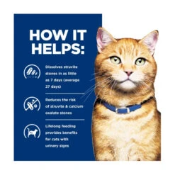 Hill's Prescription Diet Feline C/d Multicare Urinary Care Chicken & Vegetable Stew 82g X24 7 Hill's Prescription Diet Feline C/d Multicare Urinary Care Chicken & Vegetable Stew 82g X24 -Vetn Pet Direct Store hpd cat cd ch veg stew can 2