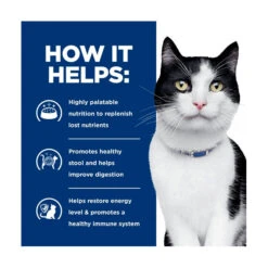 Hill's Prescription Diet Feline I/d Digestive Care 9 Hill's Prescription Diet Feline I/d Digestive Care -Vetn Pet Direct Store hpd cat id 2