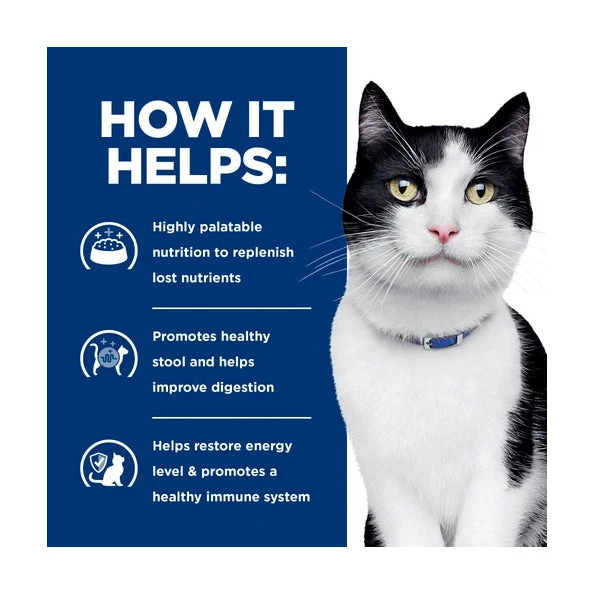 Hill's Prescription Diet Feline I/d Digestive Care 3 Hill's Prescription Diet Feline I/d Digestive Care - Image 3