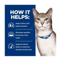 Hill's Prescription Diet Feline K/d Kidney Care Chicken & Vegetable Stew 82g X 24 7 Hill's Prescription Diet Feline K/d Kidney Care Chicken & Vegetable Stew 82g X 24 -Vetn Pet Direct Store hpd cat kd can ch veg stew 2