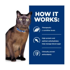 Hill's Prescription Diet Feline M/d GlucoSupport -Vetn Pet Direct Store hpd cat md dry 3