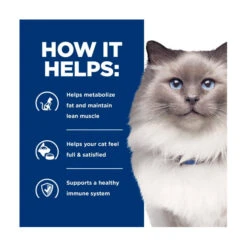 Hill's Prescription Diet Feline R/d Weight Loss 7 Hill's Prescription Diet Feline R/d Weight Loss -Vetn Pet Direct Store hpd cat rd dry 2
