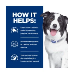 Hill's Prescription Diet Canine T/d -Vetn Pet Direct Store hpd dental care td 2