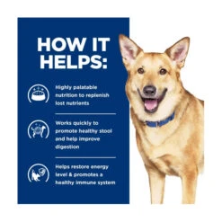 Hill's Prescription Diet Canine I/d -Vetn Pet Direct Store hpd digestive care id 2