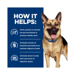 Hill's Prescription Diet Gastrointestinal Biome Wet Dog Food 370g X 12 10 Hill's Prescription Diet Gastrointestinal Biome Wet Dog Food 370g X 12 -Vetn Pet Direct Store hpd gastro biome can 4