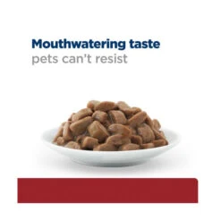 Hill's Prescription Diet Feline I/d Digestive Care Pouches 12X85g 9 Hill's Prescription Diet Feline I/d Digestive Care Pouches 12X85g -Vetn Pet Direct Store hpd id cat pouch plate