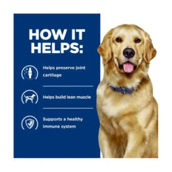 Hill's Prescription Diet Canine J/d Mobility Care -Vetn Pet Direct Store hpd jd mobility care 2
