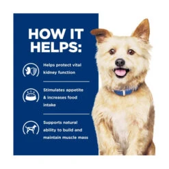 Hill's Prescription Diet Canine K/d Kidney Care 7 Hill's Prescription Diet Canine K/d Kidney Care -Vetn Pet Direct Store hpd kd 2