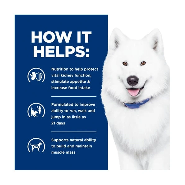 Hill's Prescription Diet Canine K/d Kidney+ J/d Mobility Care 3 Hill's Prescription Diet Canine K/d Kidney+ J/d Mobility Care - Image 3