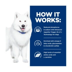 Hill's Prescription Diet Canine K/d Kidney+ J/d Mobility Care 8 Hill's Prescription Diet Canine K/d Kidney+ J/d Mobility Care -Vetn Pet Direct Store hpd kd mobility 3