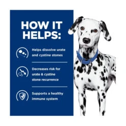 Hill's Prescription Diet Canine U/d 7 Hill's Prescription Diet Canine U/d -Vetn Pet Direct Store hpd urinary care canine 2