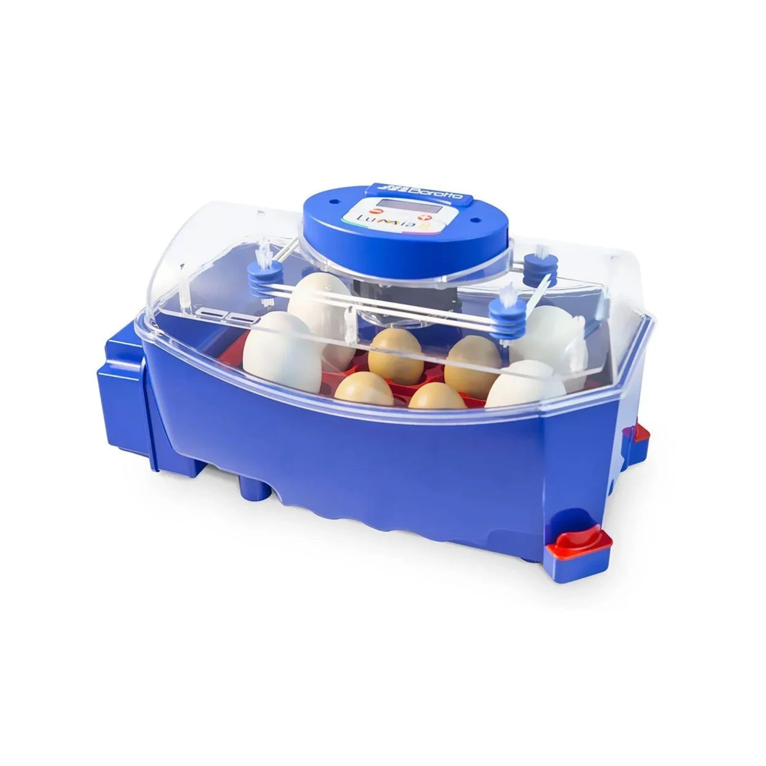 Borotto Lumia 8 Automatic Incubator 1 Borotto Lumia 8 Automatic Incubator