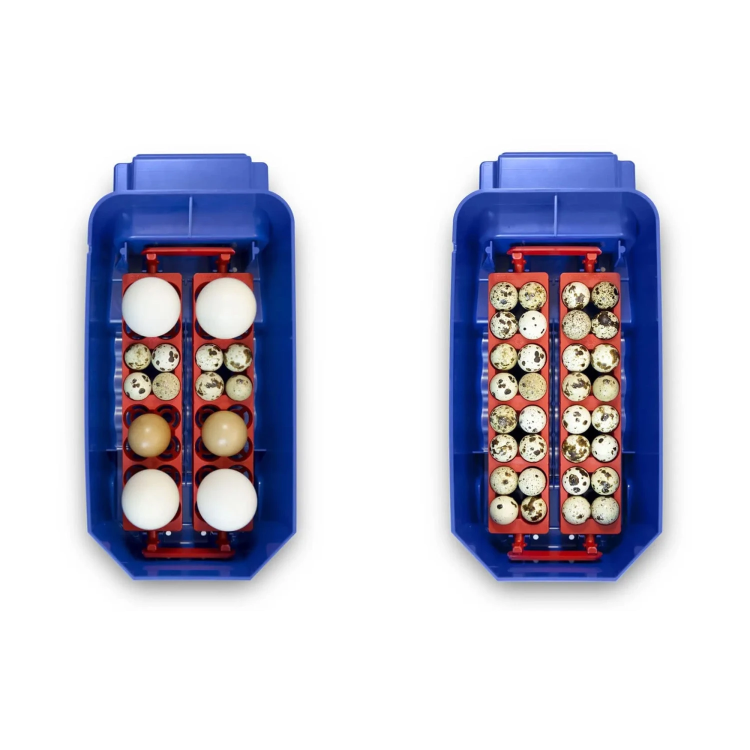 Borotto Lumia 8 Automatic Incubator 9 Borotto Lumia 8 Automatic Incubator - Image 9