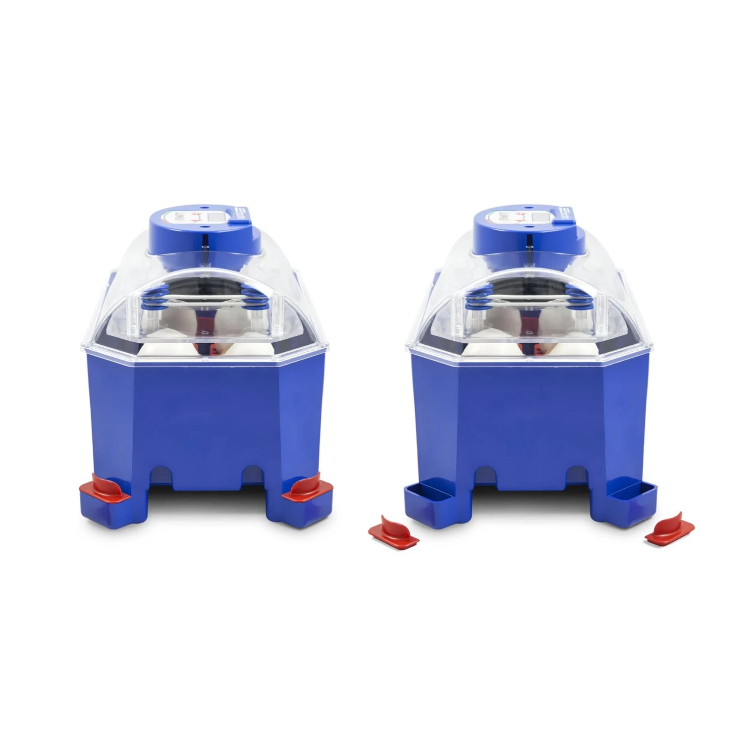 Borotto Lumia 8 Automatic Incubator 8 Borotto Lumia 8 Automatic Incubator - Image 8