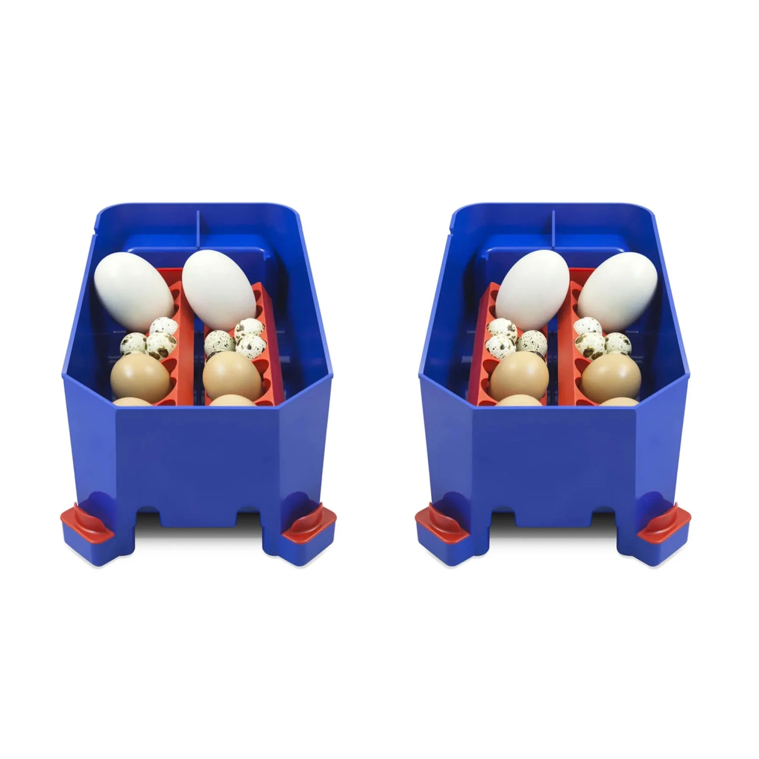 Borotto Lumia 8 Automatic Incubator 7 Borotto Lumia 8 Automatic Incubator - Image 7