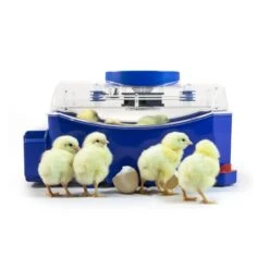Borotto Lumia 8 Automatic Incubator 13 Borotto Lumia 8 Automatic Incubator -Vetn Pet Direct Store incubator borotto lumia8 6