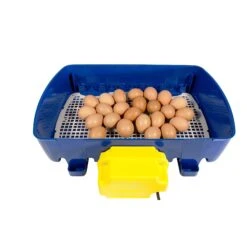 Borotto Real 24 Automatic Egg Incubator 10 Borotto Real 24 Automatic Egg Incubator -Vetn Pet Direct Store incubator borotto real 24 auto3