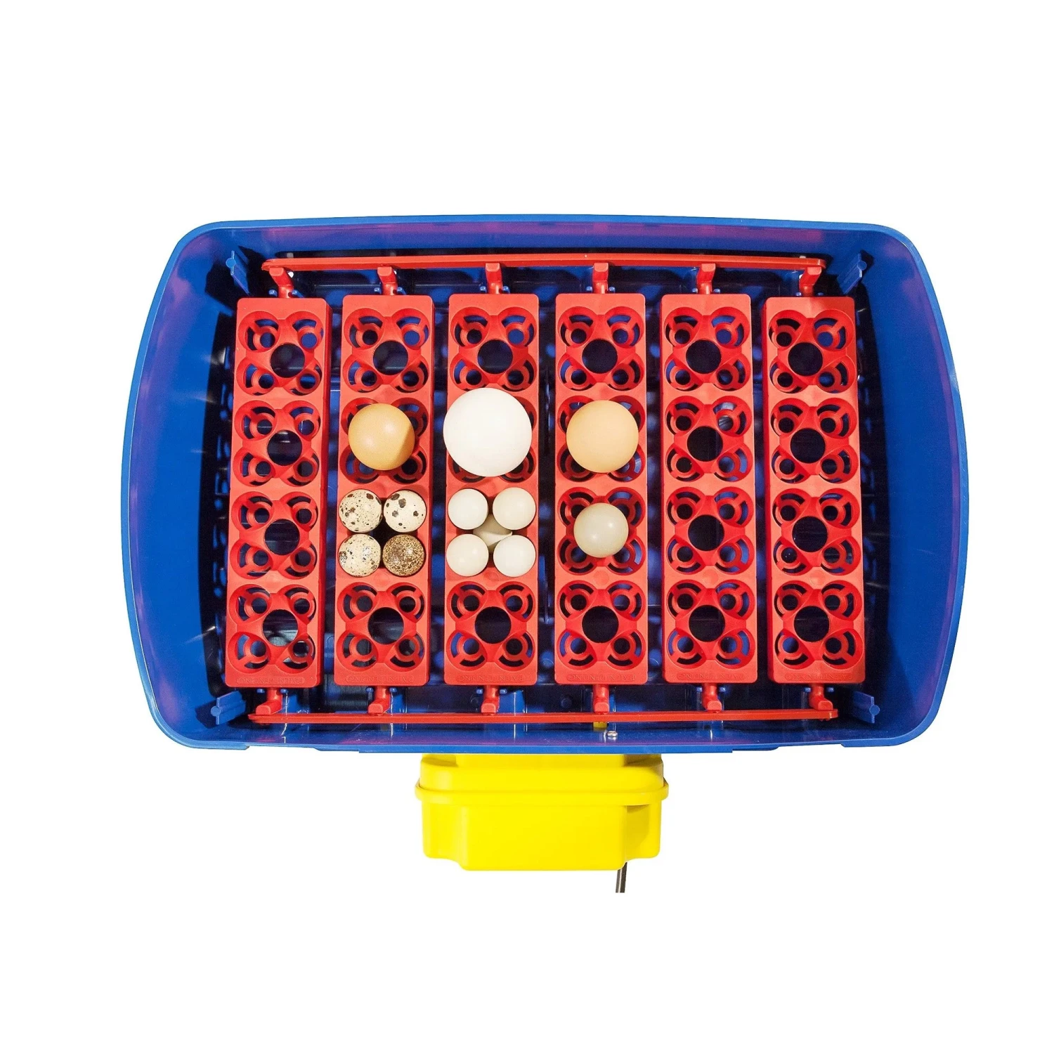 Borotto Real 24 Automatic Egg Incubator 2 Borotto Real 24 Automatic Egg Incubator - Image 2
