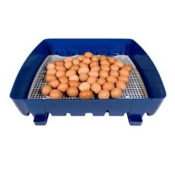 Borotto Real 49 Automatic Egg Incubator 9 Borotto Real 49 Automatic Egg Incubator -Vetn Pet Direct Store incubator borotto real 49 auto2