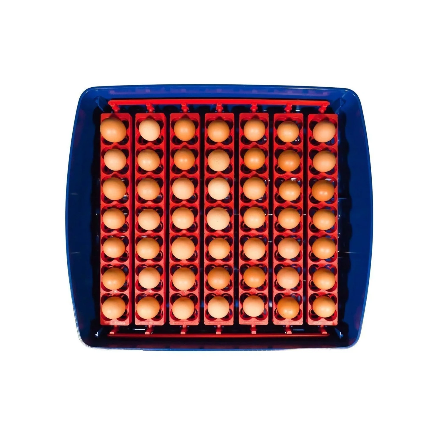 Borotto Real 49 Automatic Egg Incubator 4 Borotto Real 49 Automatic Egg Incubator - Image 4