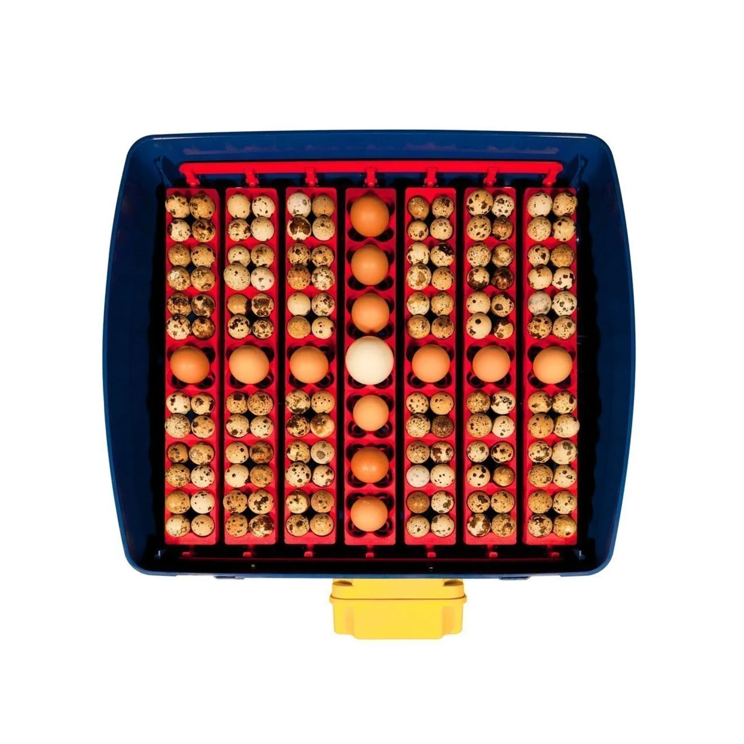 Borotto Real 49 Automatic Egg Incubator 3 Borotto Real 49 Automatic Egg Incubator - Image 3
