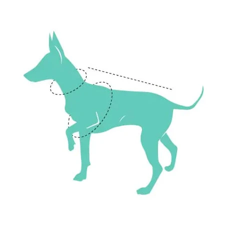 FuzzYard Life Corduroy Jacket - Slate Grey 5 FuzzYard Life Corduroy Jacket - Slate Grey - Image 5