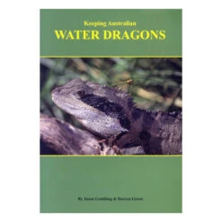 Keeping Australian Water Dragons