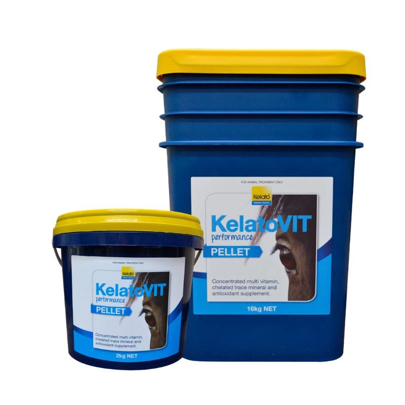 KelatoVIT Performance 1 KelatoVIT Performance