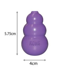 Kitty KONG 6 Kitty KONG -Vetn Pet Direct Store kitty kong 2