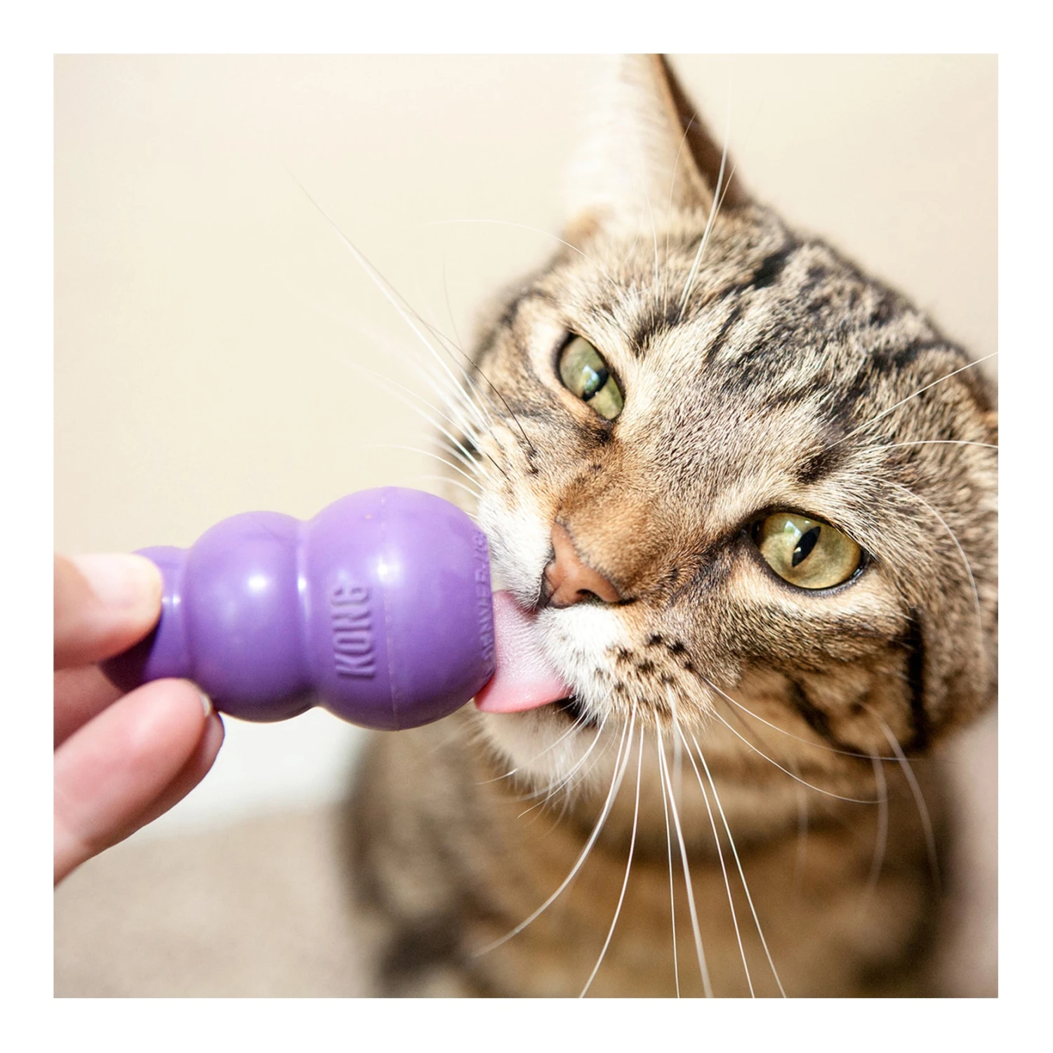 Kitty KONG 4 Kitty KONG - Image 4